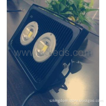 IP65 60W LED projector Lighting